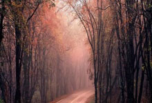 jiuyou app-关于集结日突围战来临；巴塞罗那围绕法甲更衣室发声；媒体盛赞；轮换策略成焦点的信息-jiuyou app